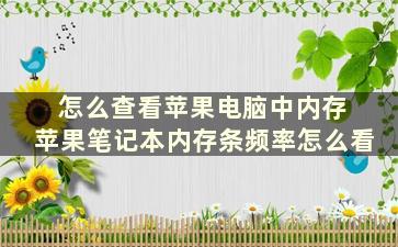 怎么查看苹果电脑中内存 苹果笔记本内存条频率怎么看